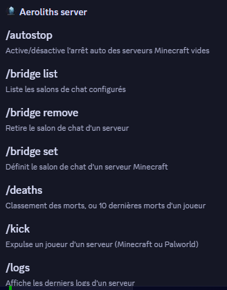 Aeroliths Server - Bot Discord de gestion de serveurs de jeu - Image 3